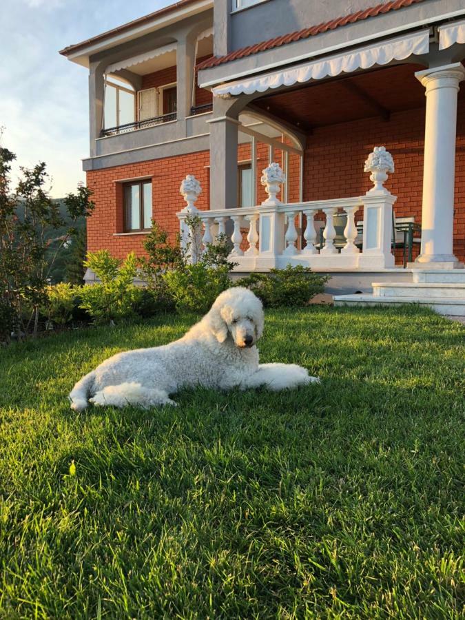 San Martino  Locanda Costa Otto.Zero المظهر الخارجي الصورة